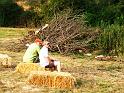 Straw bales and firewood